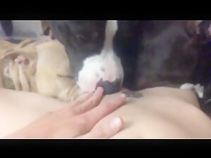 Thumb 5