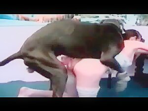 Thin babe with a round ass getting fucked by a mutt