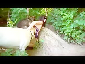 In the forest with 2 dogs