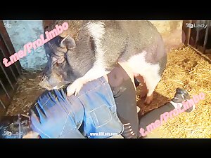 Boar Sex Porn - Selena New Vid boar ðŸ”¥ðŸ”¥ - ZooSkool Videos - Bestiality sex