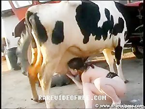 Cow lesbian