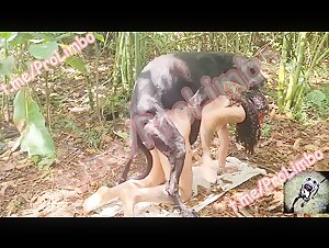 Alison Bike Ride new vid ZooSkool Videos Bestiality sex 