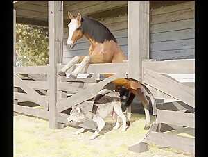 caballo follando perro anime