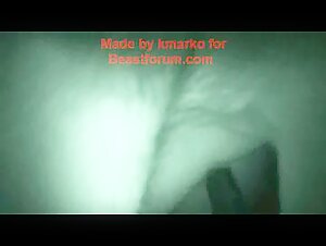 puerco mettendo a culo chico