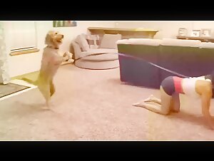 vamos fazer um passeio divertido