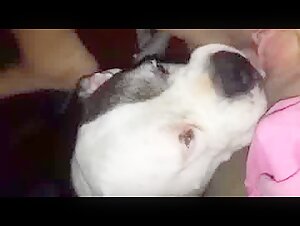 dog licking girl to orgasm