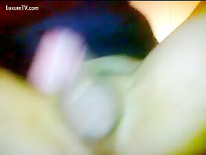 gay anal dog