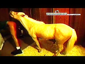 teenager fucking huge hobby horse invading pussy