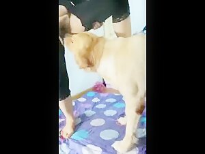 出国内人兽交视频、私聊Q1754959986