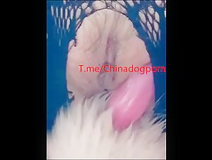 Thumb 9