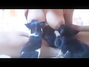 Milky breast and puppies