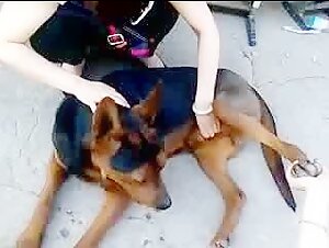 国产高清人兽完整版Q1428912960