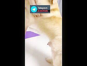Thumb 6