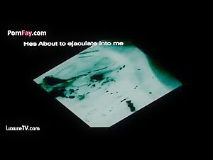 X ray Elise full version