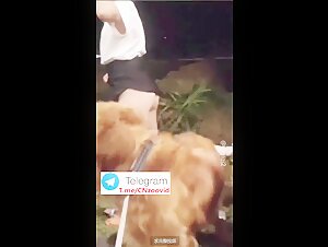 Asian beautiful wife dog fuck 3