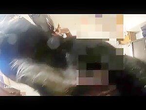 Sex with pig full video