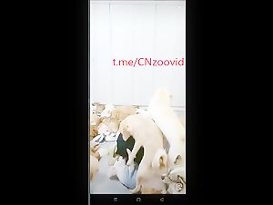 Thumb 10