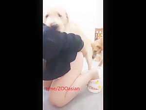 Chinese cheat wife with dog 2