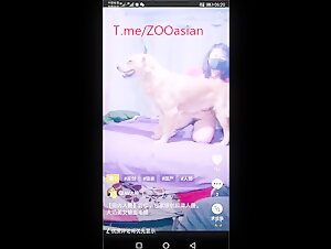 Thumb 6