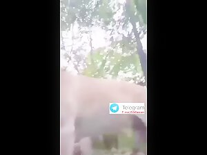 chinese fatty woman having sex with dog outside