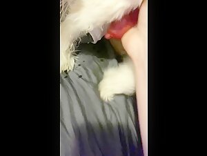 woman wants to suck her puppy