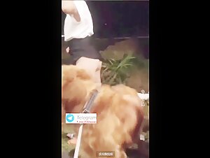 teen girl public dog sex