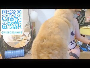 True amateur doglove