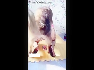 Big butt asian wife cheating with dog2