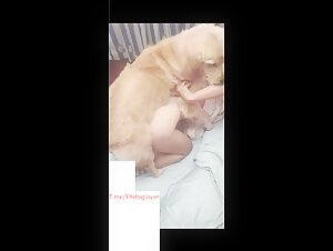 Asian cuckolding husband watch his wife