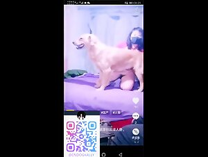Thumb 6